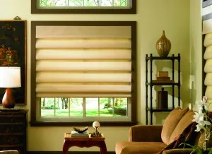 Roman Shades window treatment, example 2